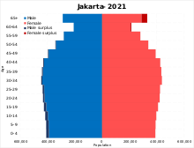চিত্র:Jakarta population pyramid.svg