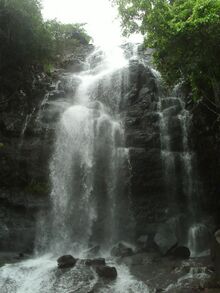চিত্র:Vyaghreshwar Waterfall2.JPG