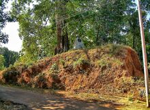 চিত্র:Nedumkotta.jpg