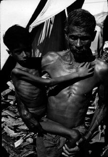চিত্র:Starved child.jpg