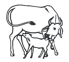 চিত্র:Cow and Calf INC.svg