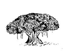 চিত্র:Indian Election Symbol Tree.png