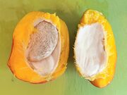 Fruit with single seed, cut open