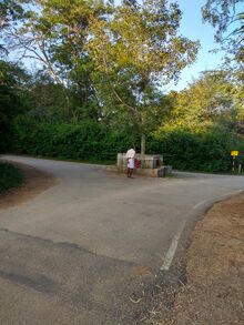 চিত্র:Rishi Valley bus stop.jpg