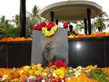 চিত্র:Sir mv.jpg