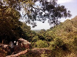 চিত্র:Nrusinghnath 20131124 124226.jpg