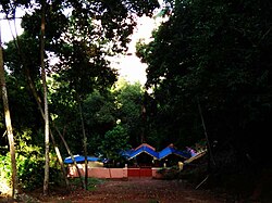 Kavu copy.jpg