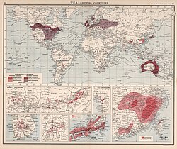 MapTea-1907.jpg