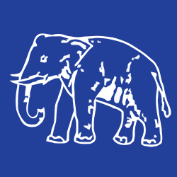 Bahujan Samaj Party Flag
